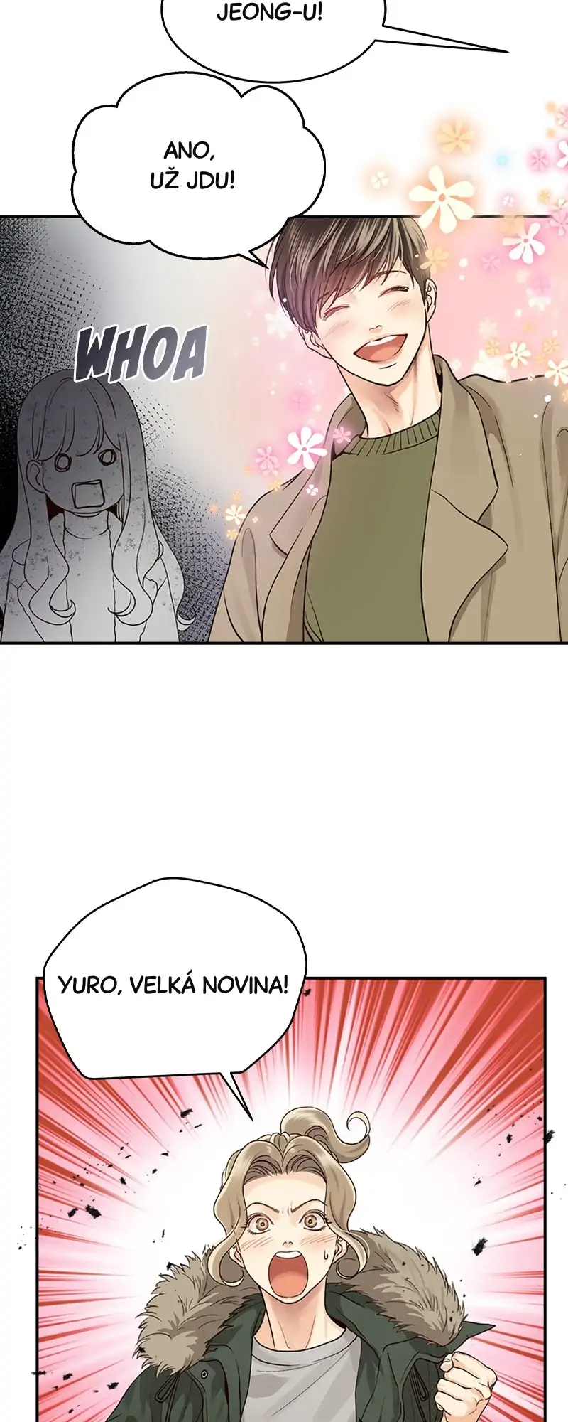 70077626 800 2000 99646