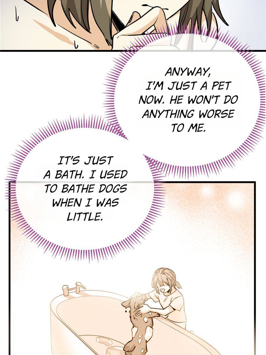 9. Don't treat pets like this! 48 76251658 900 1200 119204