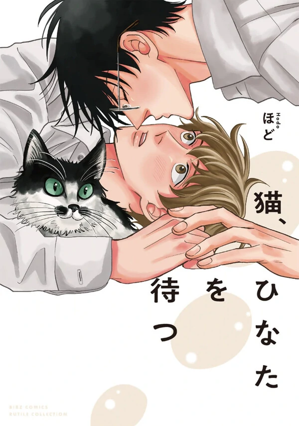 Neko, Hinata o Matsu